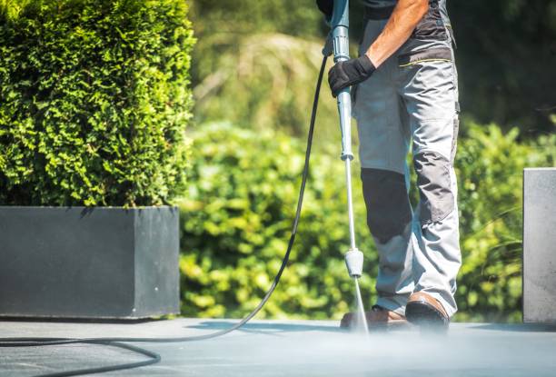 Animal Enclosure Cleaning in Chesilhurst, NJ