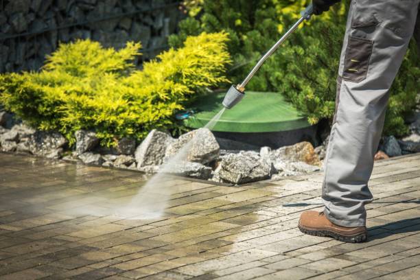 Best Sidewalk and Walkway Cleaning  in Chesilhurst, NJ