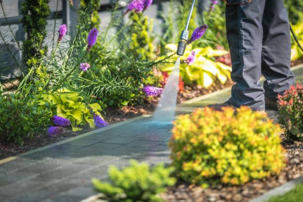 Best Gutter Cleaning  in Chesilhurst, NJ