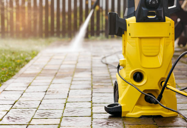 Best Animal Enclosure Cleaning  in Chesilhurst, NJ